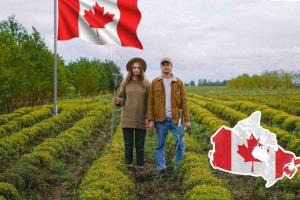 التطوع الزراعي في كندا 2026 الموقع الرسمي